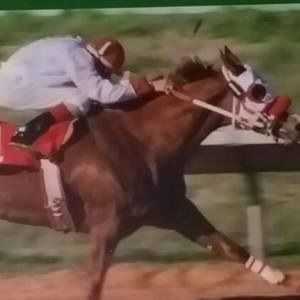 Meet your Posher, Johnny